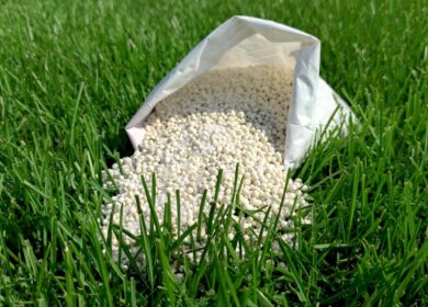 Жительницы Кировской области получают подарки от «Уралхима»