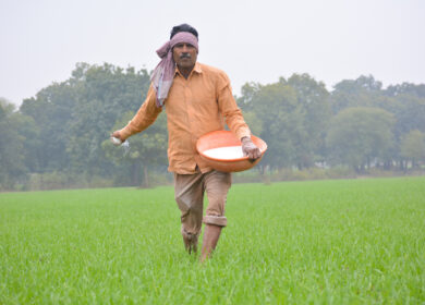 Индия наращивает импорт российских удобрений