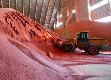 Лукашенко поручил калийной отрасли искать альтернативные рынки