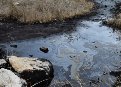 Кемеровский «Азот» нанес ущерб окружающей среде на 45 млн. рублей