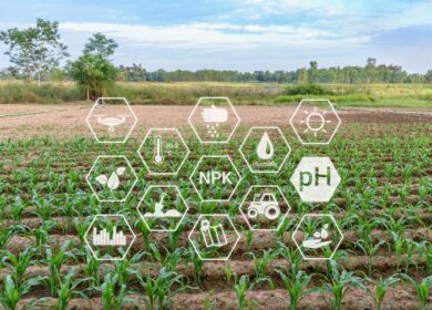 В 2026 году «ФосАгро» будет производить в Балакове DAP и NPK