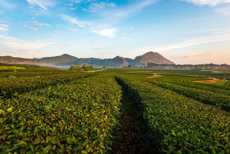 Российские удобрения отправились в Кению