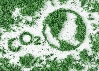 CF Industries сотрудничает с CHS Inc