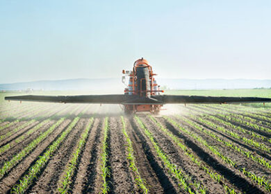 Phospholutions выигрывает IFA/UM6P Africa AgTech Startup Showcase