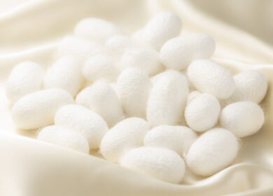 Эффективный пестицид будут делать из нового штамма патогена бабочек