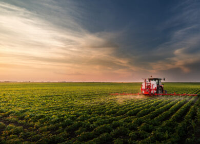 В 2024 году в России начнут выпускать новые вещества для пестицидов