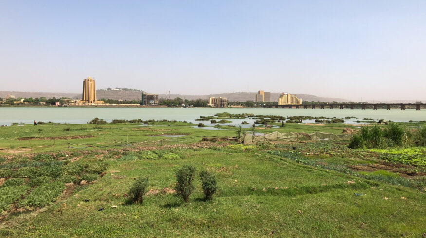 Мали испытывает проблемы из-за отсутствия удобрений из РФ