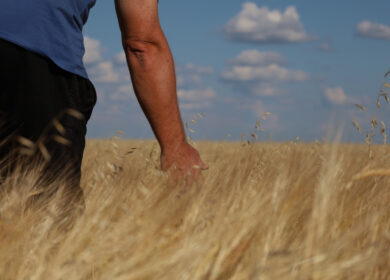 В Казахстане начали производить удобрения из угля