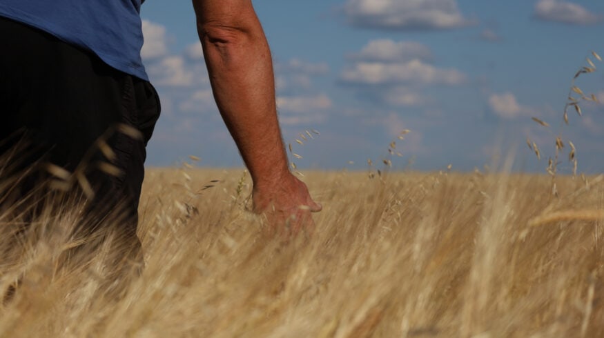 В Казахстане начали производить удобрения из угля