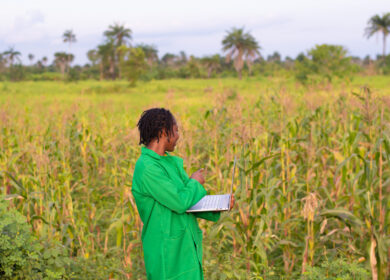 Лавров анонсировал поставку удобрений в Нигерию