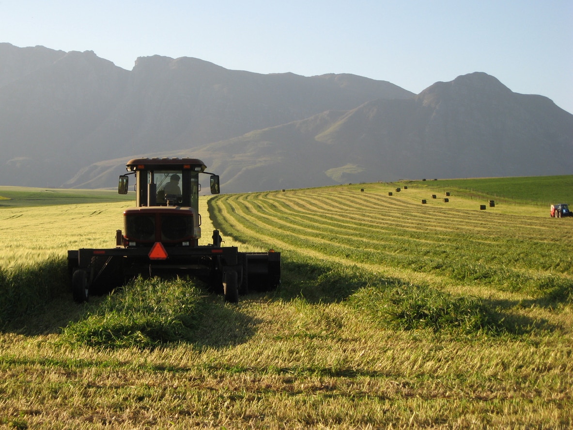 Африканский банк развития одобрил выделение 11,7 млн. долларов США