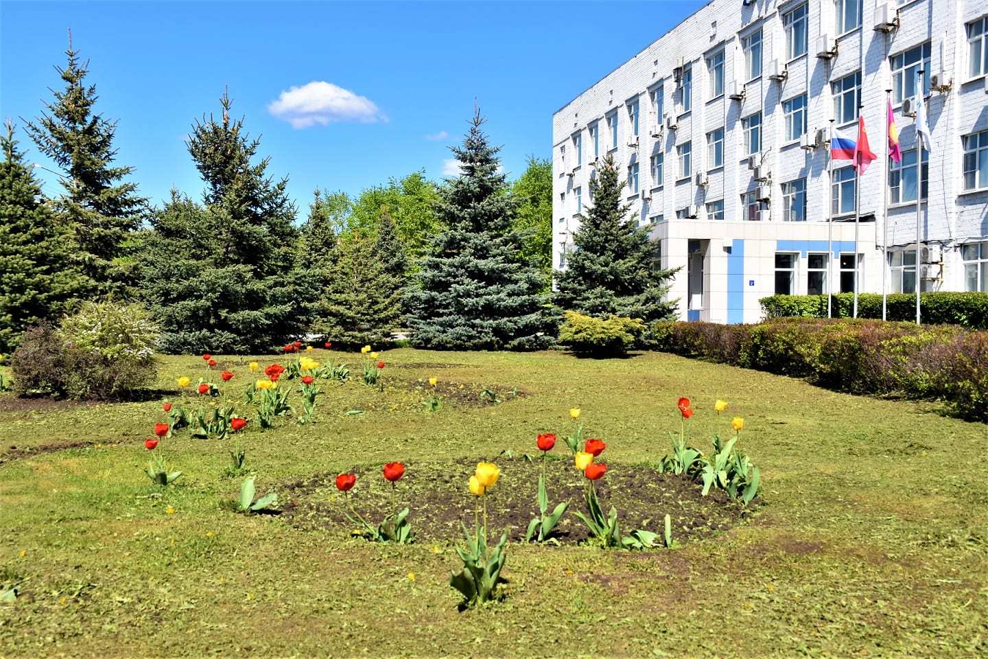 «ВМУ» опубликовала результаты апрельского мониторинга качества воздуха