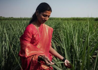 Yara Growth Ventures инвестировала в третий фонд Omnivore