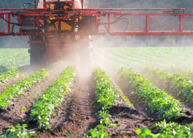 Отечественные производители СЗР лидируют на российском рынке