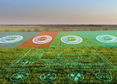 ICL представил новую технологию Leaf