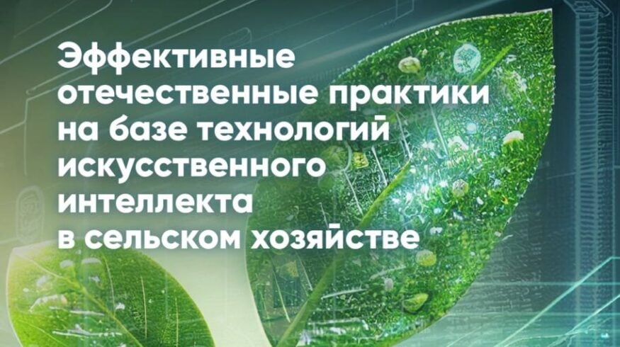 АНО «Цифровая экономика» представила исследование