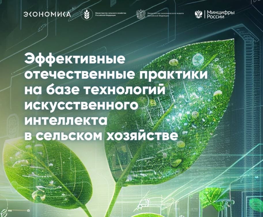 АНО «Цифровая экономика» представила исследование