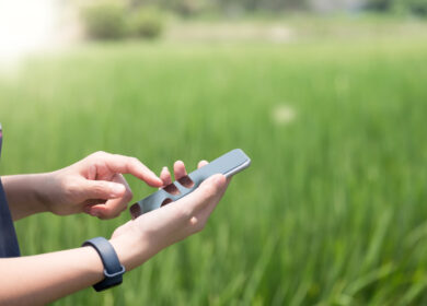 Мобильное приложение будет отвечать за урожай