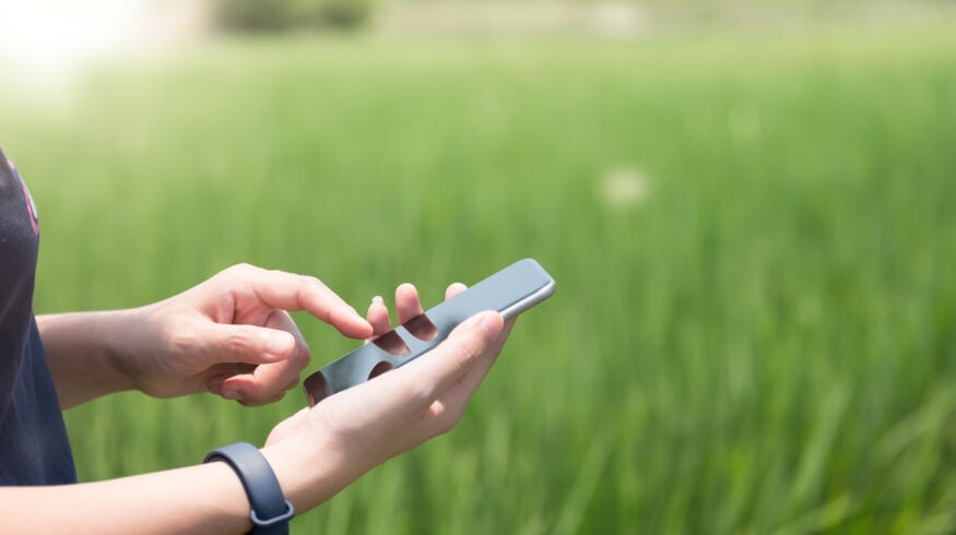 Мобильное приложение будет отвечать за урожай