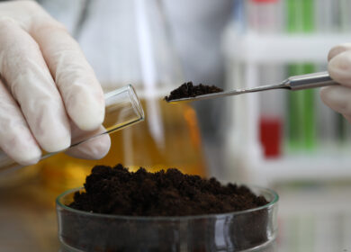 Венгры хотят производить в Узбекистане органические удобрения