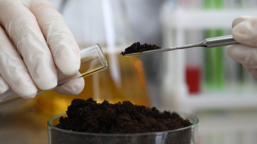 Венгры хотят производить в Узбекистане органические удобрения