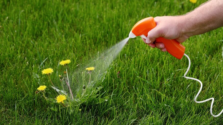 С 2017 года объем производства гербицидов в РФ вырос в 2 раза