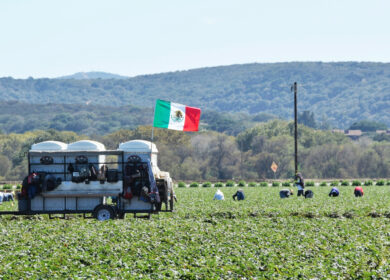 «Август» зарегистрировал в Мексике первое СЗР