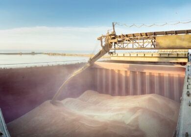 В Санкт-Петербурге используют новую технологию фумигации