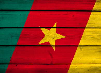 Камерун надеется на помощь России