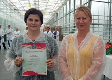 «ЭКО-культура» успешно выращивает овощи в Курской области