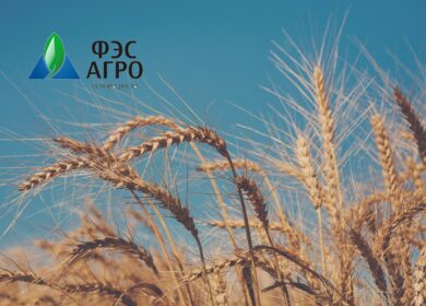 «ФЭС-Агро» разместила 3-й облигационный заем
