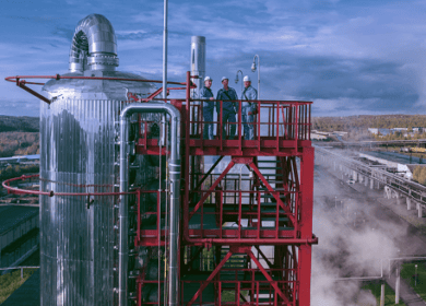 94,2% акций «Метафракс Кемикалс» отошли государству