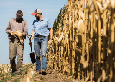 Indigo Ag активно реализует программы для фермеров и агробизнеса