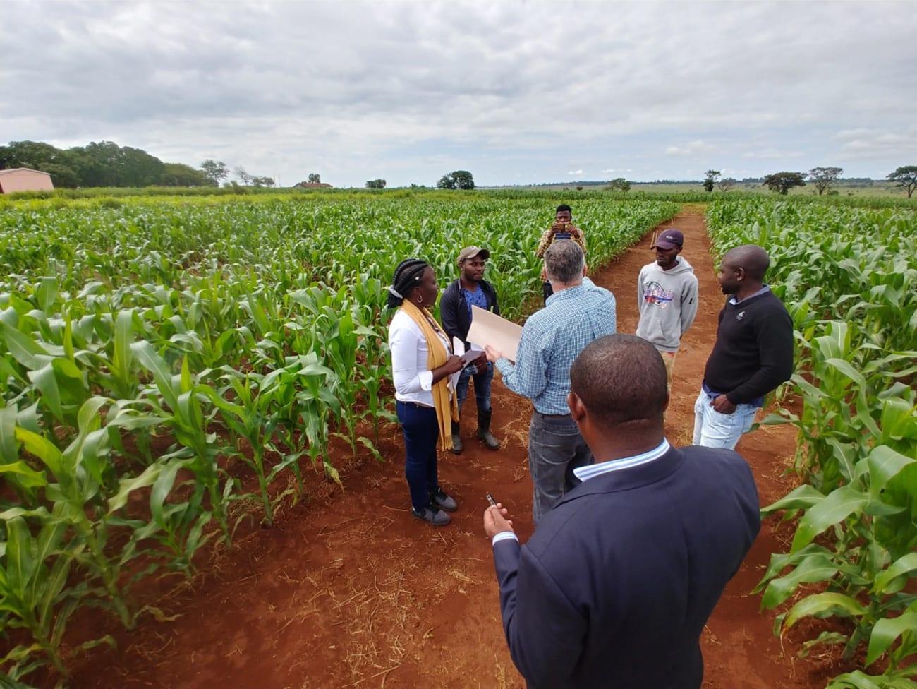 Minbos запустила бренд удобрений Prosper Primeiro