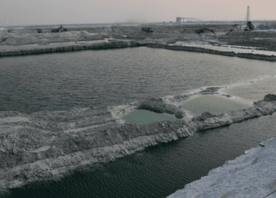 Продукция Paradeep Phosphates получила знак BIS