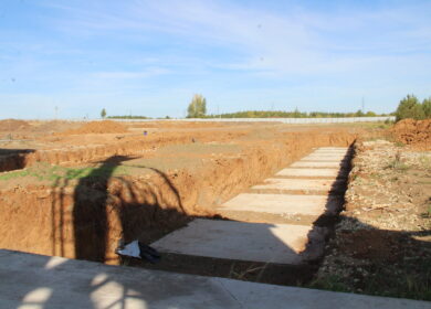 «Аммоний Агротехнологии» строит семенной завод