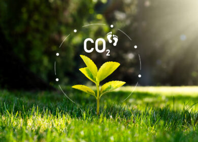 «ФосАгро» прошла валидацию методики расчета углеродного следа