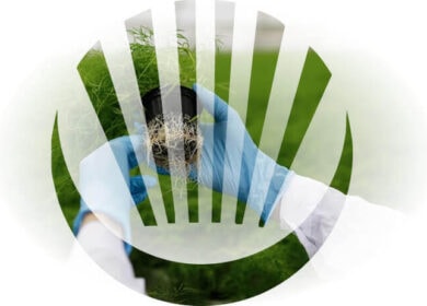 CoteX Technologies и Nutrien будут работать над азотными удобрениями