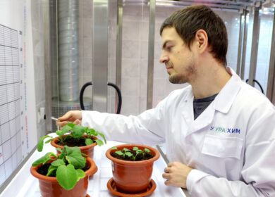 Агролаборатория «Уралхима»: пакеты услуг по анализу почвы для устойчивых урожаев