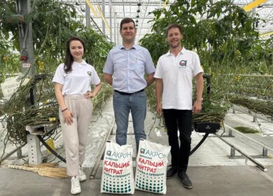 «Акрон» успешно протестировал кальциевую селитру