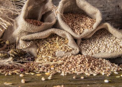 «ФосАгро-Регион» вышла на рынок семян