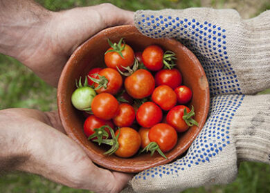 Profertil получила две награды за свои достижения