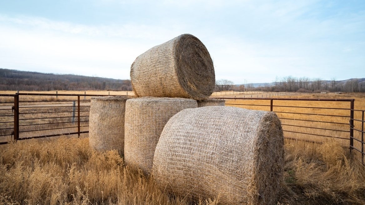 CNH инвестирует в экологически чистую систему хранения тюков Nature’s Net Wrap