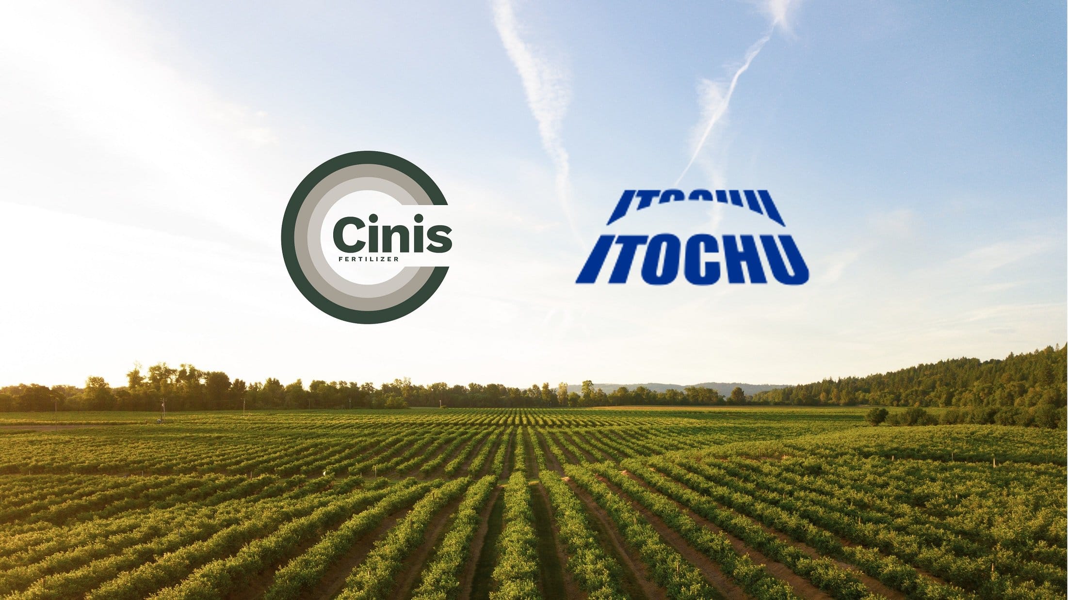 Cinis Fertilizer хочет сотрудничать с японской корпорацией ITOCHU