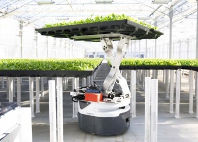 Hippo Harvest получила финансирование в размере 21 млн. долларов США