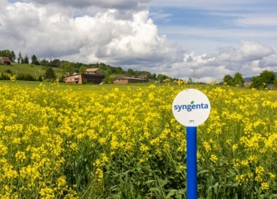 Syngenta и Lavie Bio будут совместно разрабатывать биоинсектицид