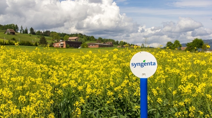 Syngenta и Lavie Bio будут совместно разрабатывать биоинсектицид