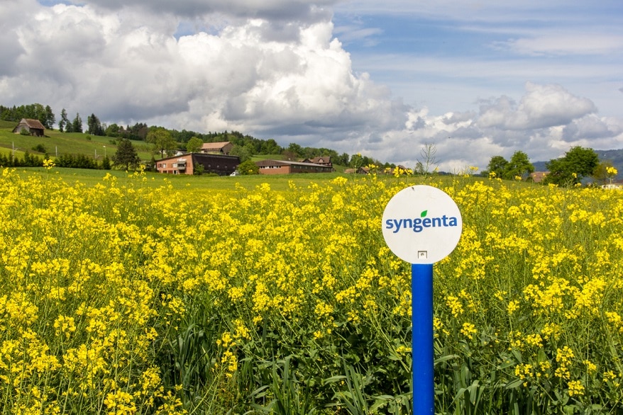 Syngenta и Lavie Bio будут совместно разрабатывать биоинсектицид