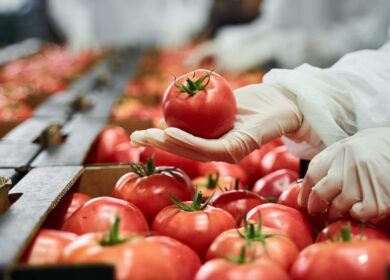 Туркменистан и Россия обсудили вопросы контроля над применением пестицидов