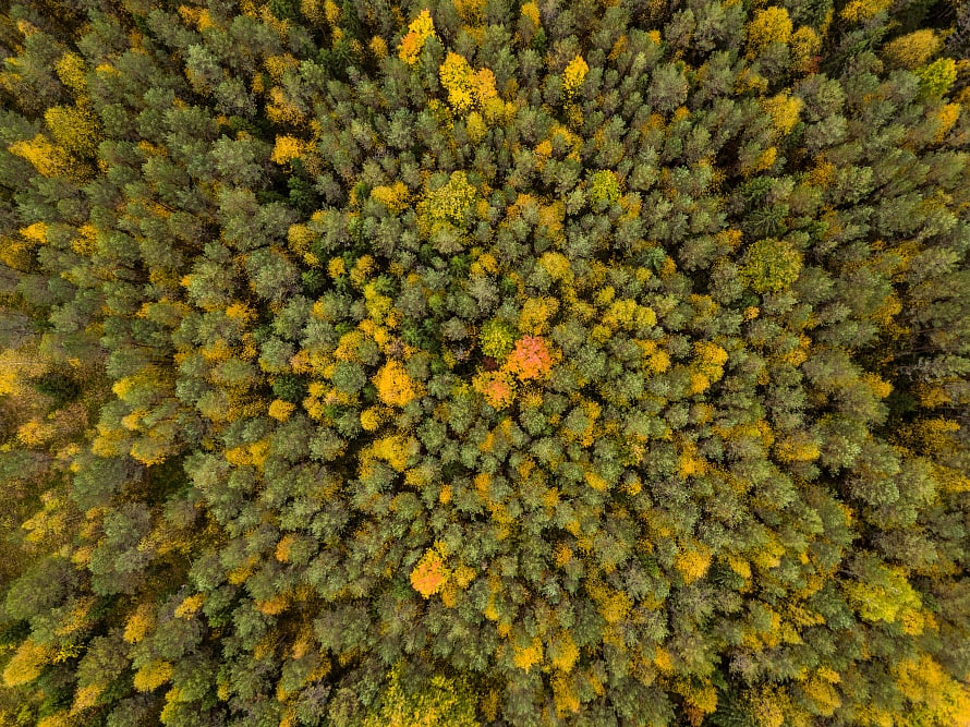 «Уралхим» отчитался об  итогах природоохранной деятельности в 2023 году